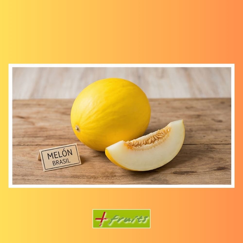 MELON - 100 kg